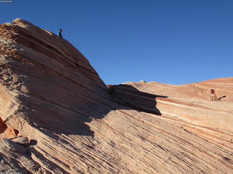 Glangeh Soporte Movil Coche & LISEN Cargador Coche