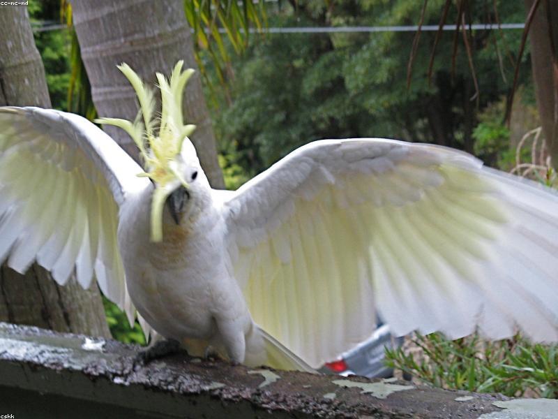 Ofertas destacadas de la semana: hasta 50% de descuento en productos de alta calidad