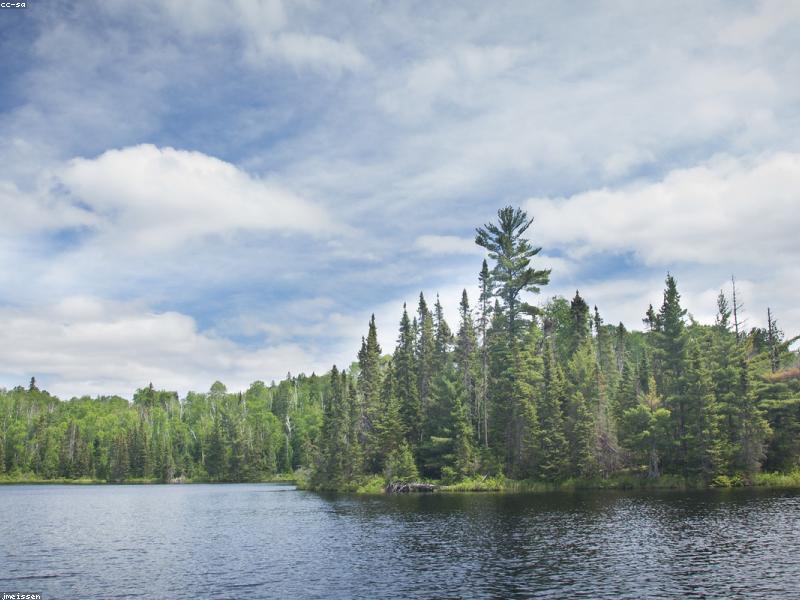 JETech iPhone 14 Pro/15 Pro